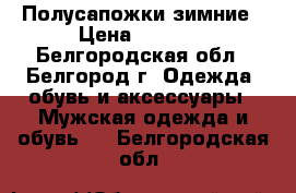 Полусапожки зимние › Цена ­ 1 500 - Белгородская обл., Белгород г. Одежда, обувь и аксессуары » Мужская одежда и обувь   . Белгородская обл.